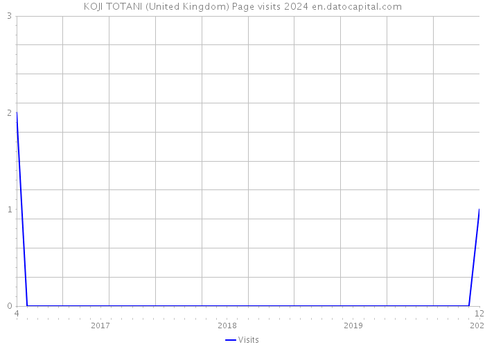 KOJI TOTANI (United Kingdom) Page visits 2024 