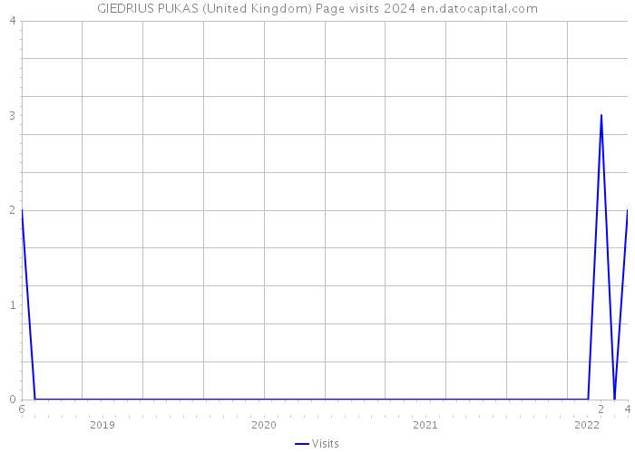 GIEDRIUS PUKAS (United Kingdom) Page visits 2024 