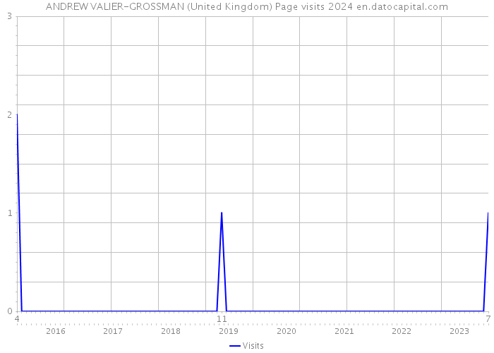 ANDREW VALIER-GROSSMAN (United Kingdom) Page visits 2024 