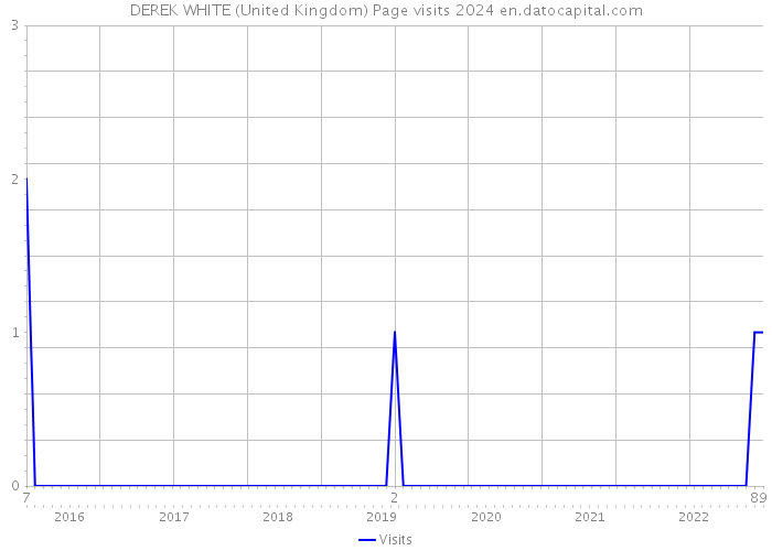 DEREK WHITE (United Kingdom) Page visits 2024 