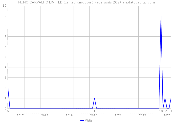 NUNO CARVALHO LIMITED (United Kingdom) Page visits 2024 