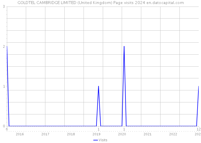 GOLDTEL CAMBRIDGE LIMITED (United Kingdom) Page visits 2024 