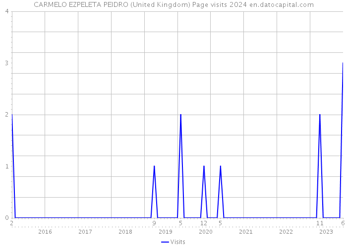 CARMELO EZPELETA PEIDRO (United Kingdom) Page visits 2024 