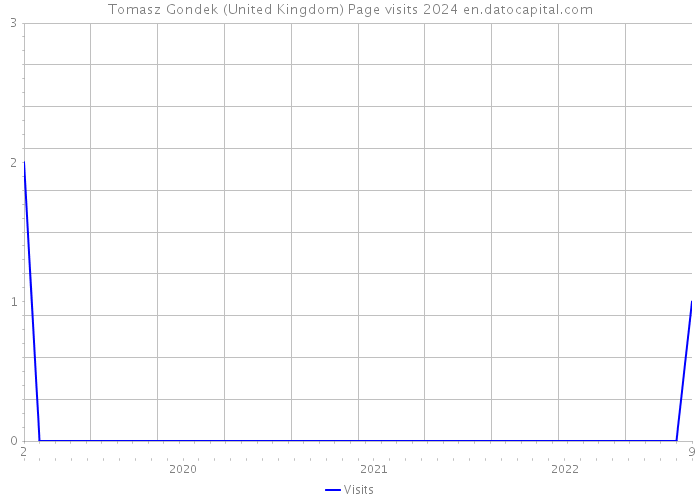 Tomasz Gondek (United Kingdom) Page visits 2024 