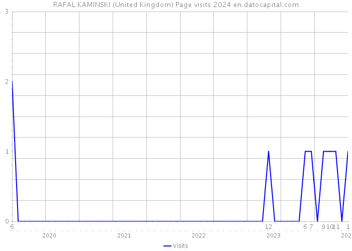 RAFAL KAMINSKI (United Kingdom) Page visits 2024 