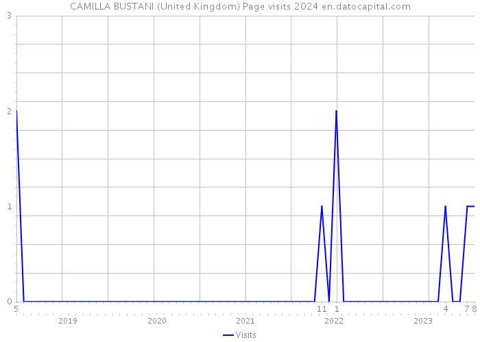 CAMILLA BUSTANI (United Kingdom) Page visits 2024 