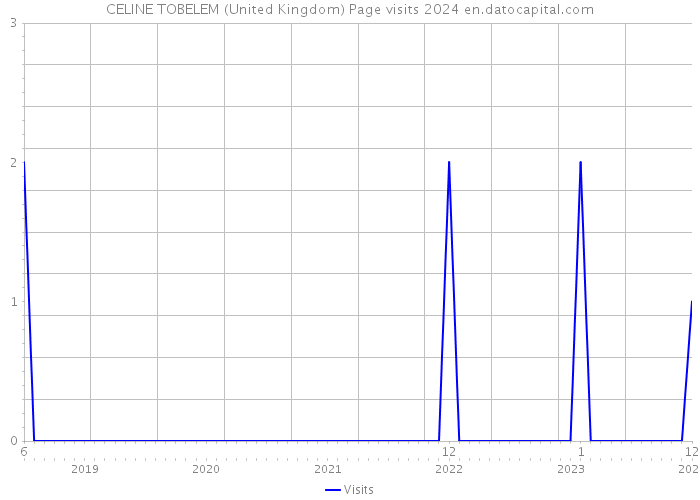 CELINE TOBELEM (United Kingdom) Page visits 2024 