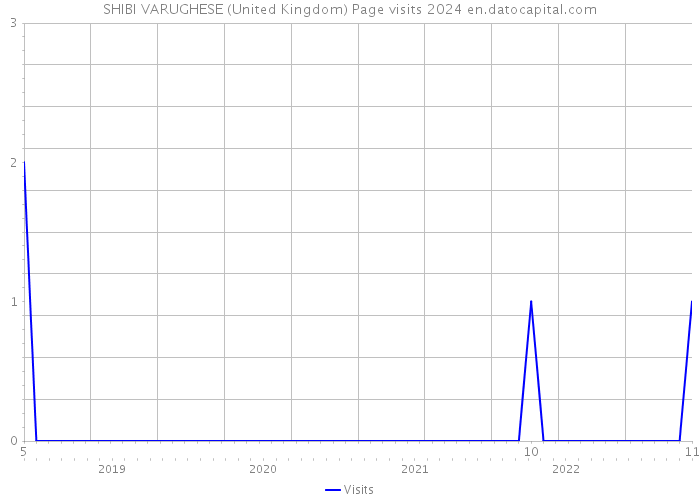 SHIBI VARUGHESE (United Kingdom) Page visits 2024 