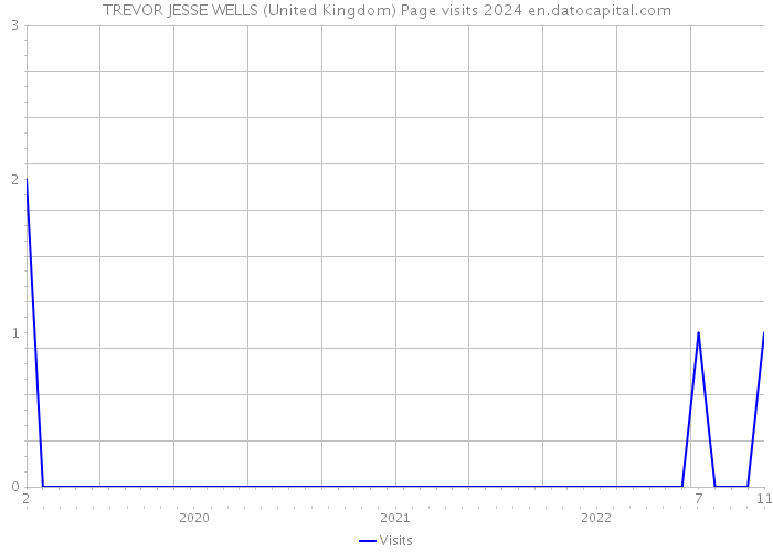 TREVOR JESSE WELLS (United Kingdom) Page visits 2024 