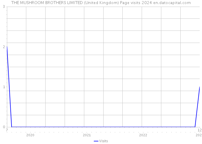THE MUSHROOM BROTHERS LIMITED (United Kingdom) Page visits 2024 