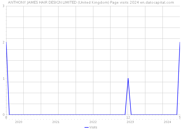 ANTHONY JAMES HAIR DESIGN LIMITED (United Kingdom) Page visits 2024 