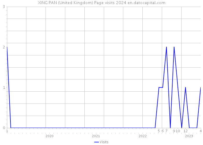 XING PAN (United Kingdom) Page visits 2024 