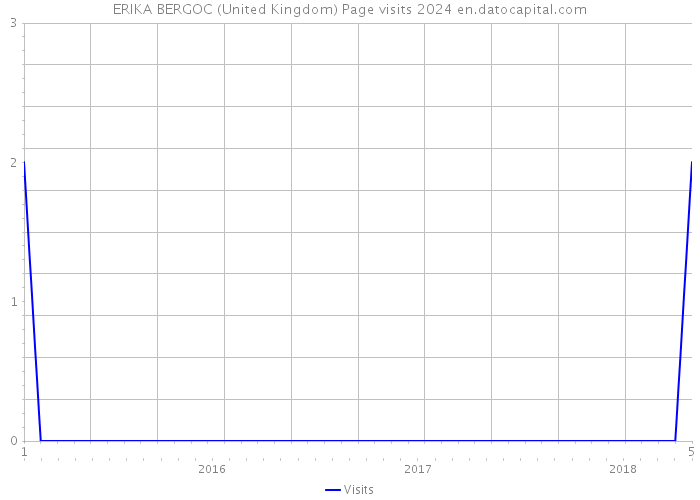 ERIKA BERGOC (United Kingdom) Page visits 2024 