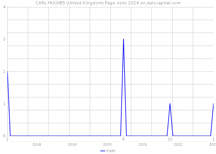 CARL HUGHES (United Kingdom) Page visits 2024 