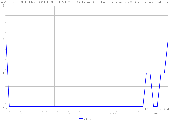 AMICORP SOUTHERN CONE HOLDINGS LIMITED (United Kingdom) Page visits 2024 