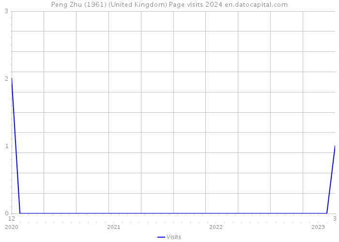 Peng Zhu (1961) (United Kingdom) Page visits 2024 