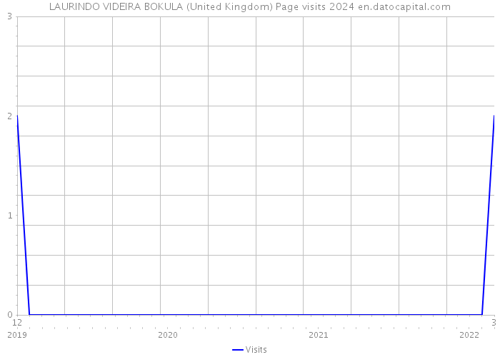 LAURINDO VIDEIRA BOKULA (United Kingdom) Page visits 2024 