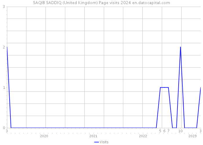 SAQIB SADDIQ (United Kingdom) Page visits 2024 