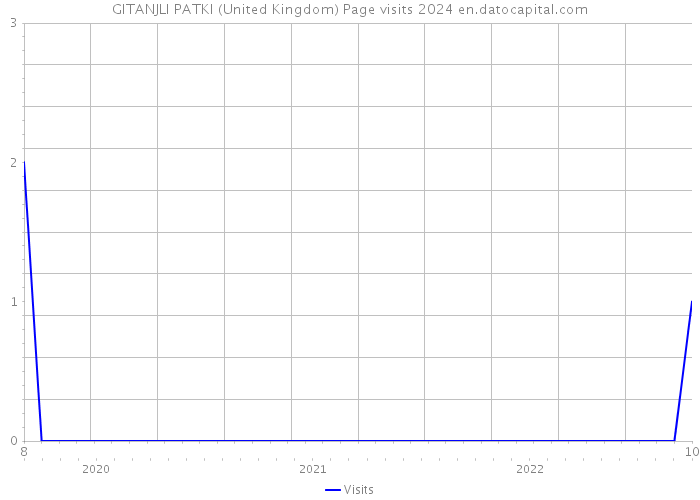 GITANJLI PATKI (United Kingdom) Page visits 2024 