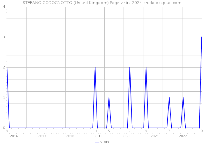 STEFANO CODOGNOTTO (United Kingdom) Page visits 2024 