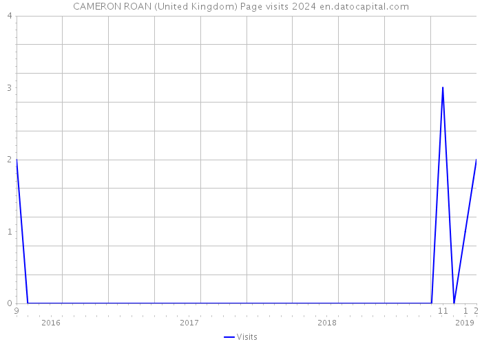 CAMERON ROAN (United Kingdom) Page visits 2024 