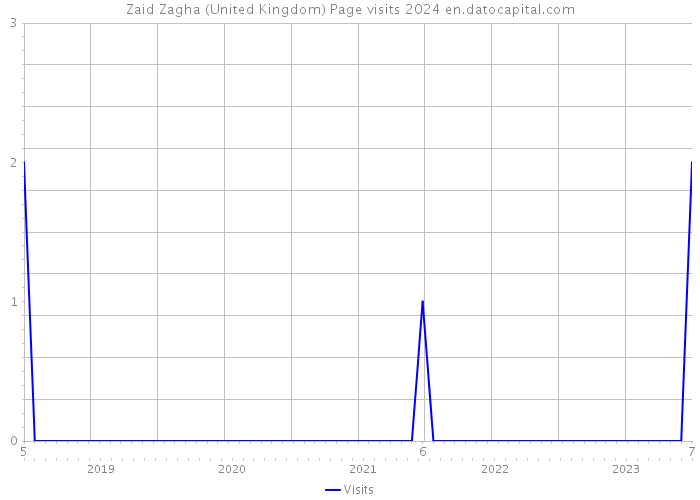 Zaid Zagha (United Kingdom) Page visits 2024 