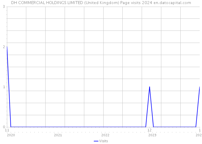 DH COMMERCIAL HOLDINGS LIMITED (United Kingdom) Page visits 2024 