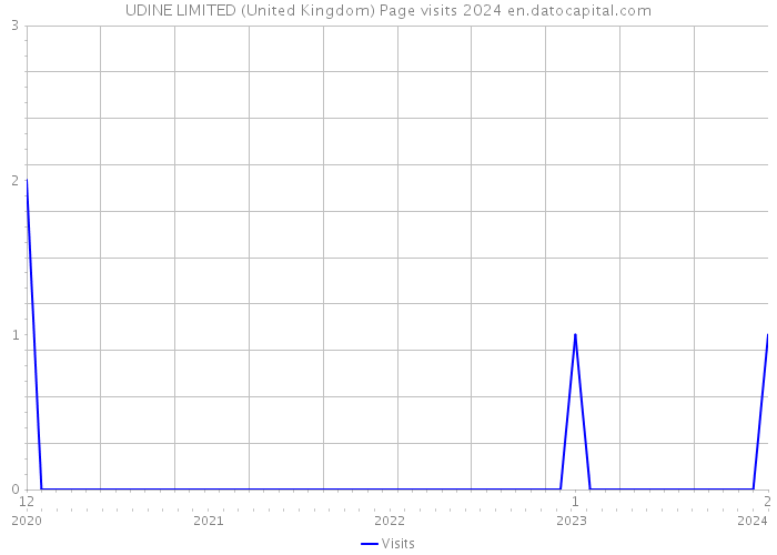UDINE LIMITED (United Kingdom) Page visits 2024 