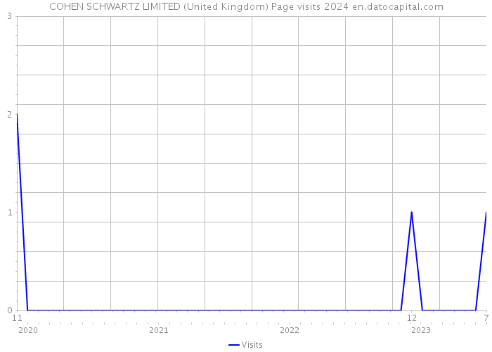 COHEN SCHWARTZ LIMITED (United Kingdom) Page visits 2024 