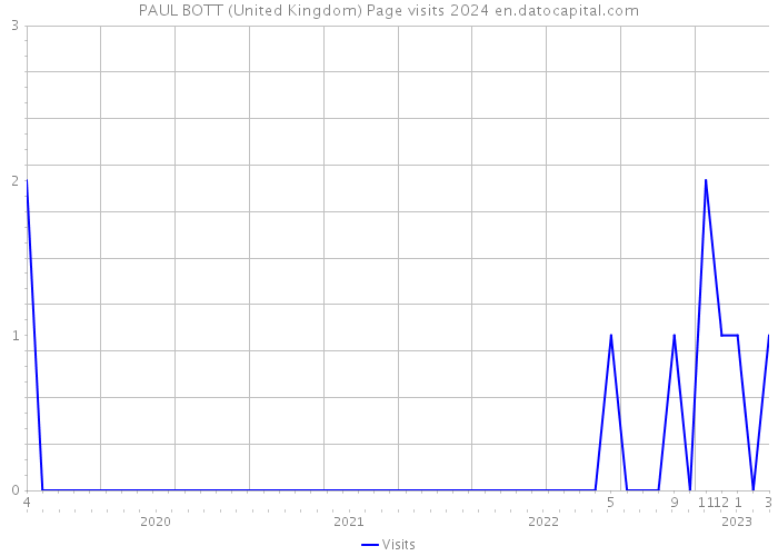 PAUL BOTT (United Kingdom) Page visits 2024 