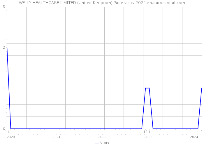 WELLY HEALTHCARE LIMITED (United Kingdom) Page visits 2024 