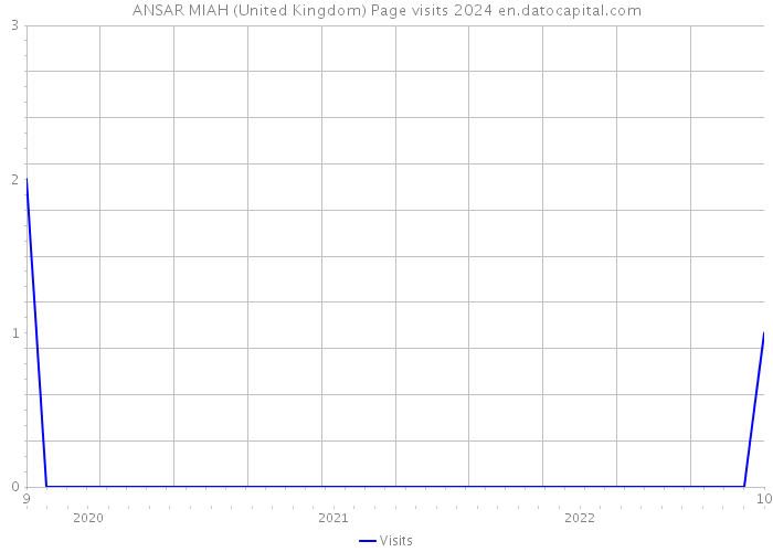 ANSAR MIAH (United Kingdom) Page visits 2024 