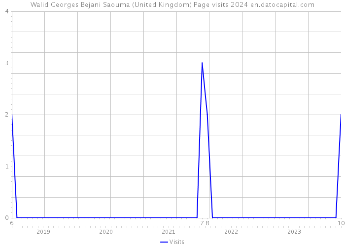Walid Georges Bejani Saouma (United Kingdom) Page visits 2024 