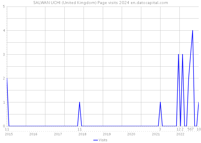 SALWAN UCHI (United Kingdom) Page visits 2024 