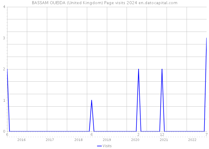 BASSAM OUEIDA (United Kingdom) Page visits 2024 