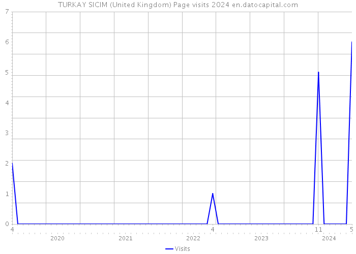 TURKAY SICIM (United Kingdom) Page visits 2024 