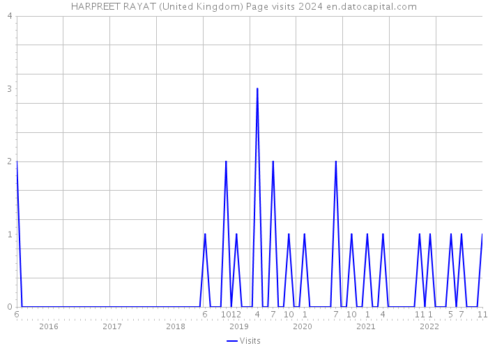 HARPREET RAYAT (United Kingdom) Page visits 2024 