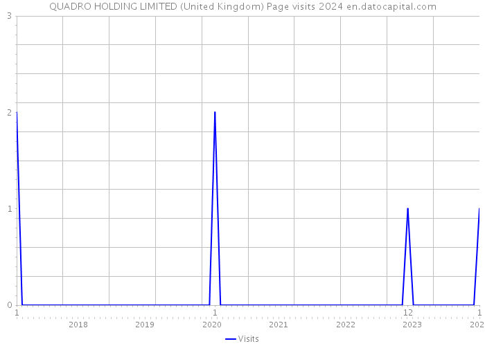QUADRO HOLDING LIMITED (United Kingdom) Page visits 2024 