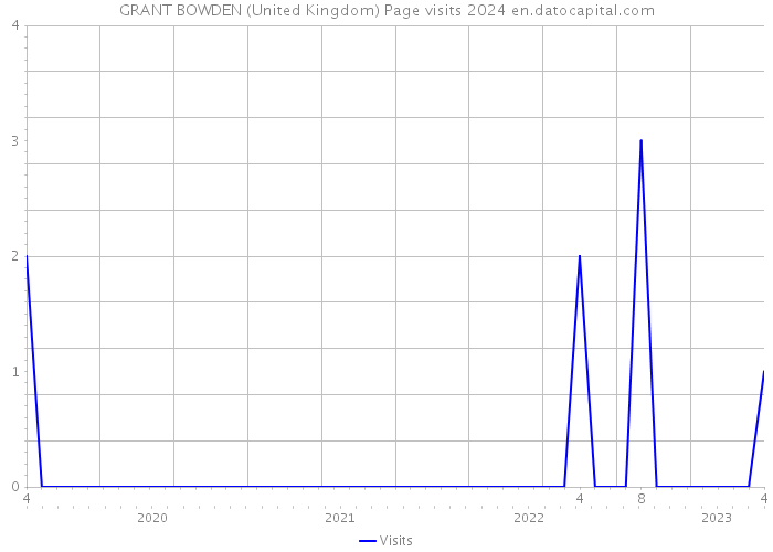 GRANT BOWDEN (United Kingdom) Page visits 2024 