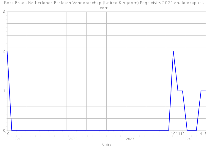 Rock Brook Netherlands Besloten Vennootschap (United Kingdom) Page visits 2024 