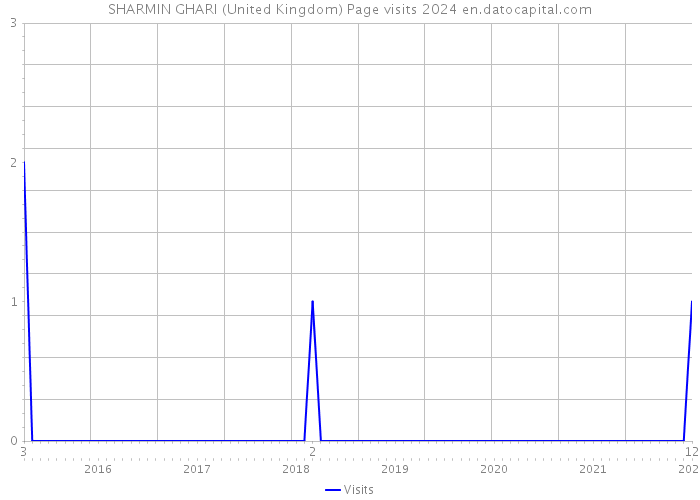 SHARMIN GHARI (United Kingdom) Page visits 2024 