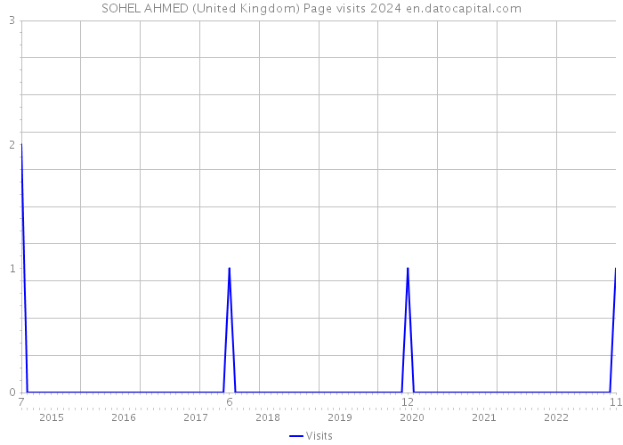 SOHEL AHMED (United Kingdom) Page visits 2024 