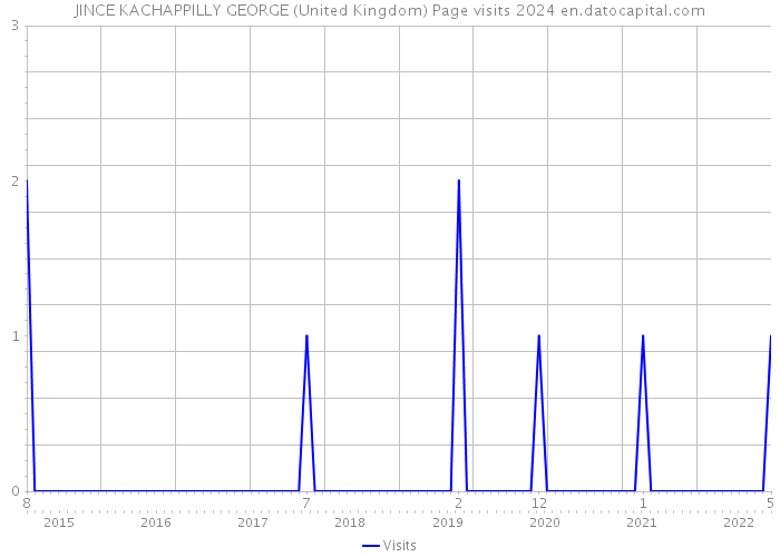 JINCE KACHAPPILLY GEORGE (United Kingdom) Page visits 2024 