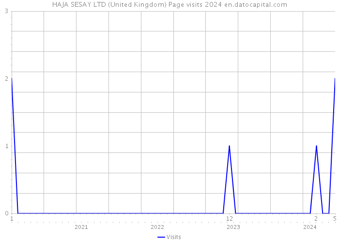 HAJA SESAY LTD (United Kingdom) Page visits 2024 