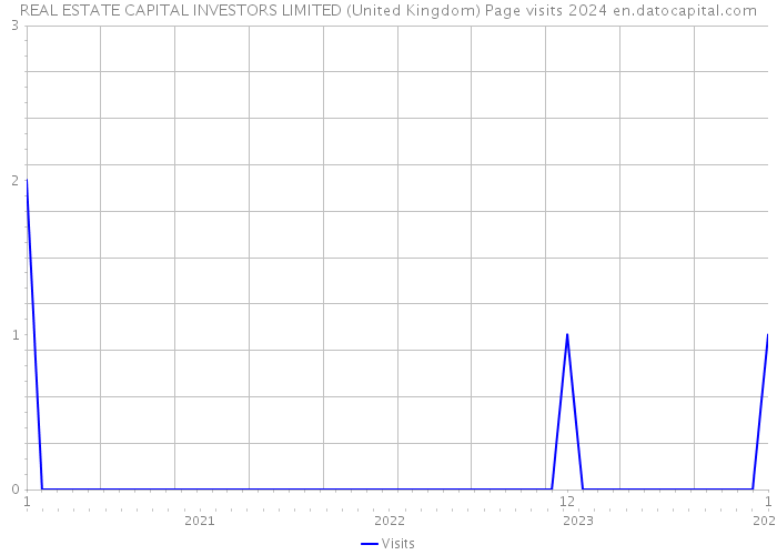 REAL ESTATE CAPITAL INVESTORS LIMITED (United Kingdom) Page visits 2024 