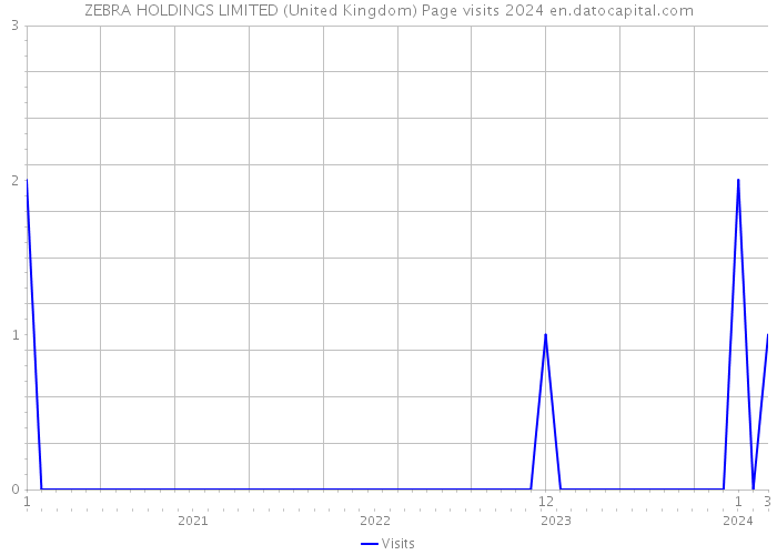 ZEBRA HOLDINGS LIMITED (United Kingdom) Page visits 2024 