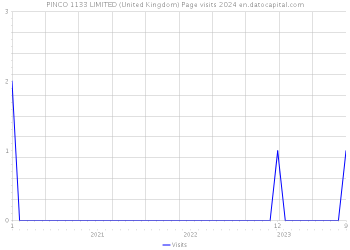 PINCO 1133 LIMITED (United Kingdom) Page visits 2024 