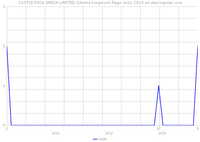 CASTLE POOL MEDIA LIMITED (United Kingdom) Page visits 2024 