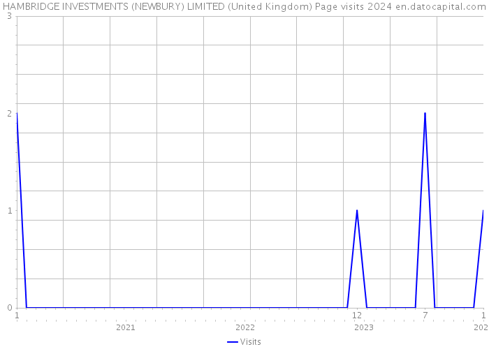 HAMBRIDGE INVESTMENTS (NEWBURY) LIMITED (United Kingdom) Page visits 2024 