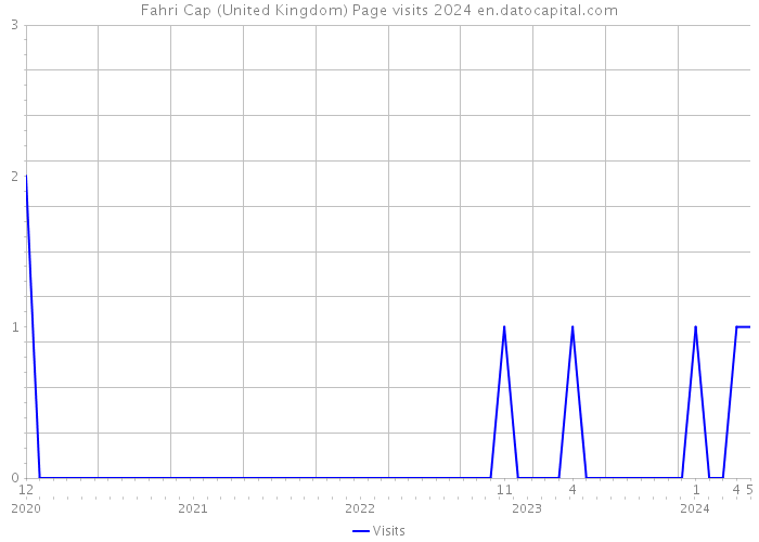 Fahri Cap (United Kingdom) Page visits 2024 